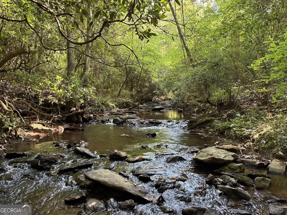 0 Creek RD Ashland, AL 36251