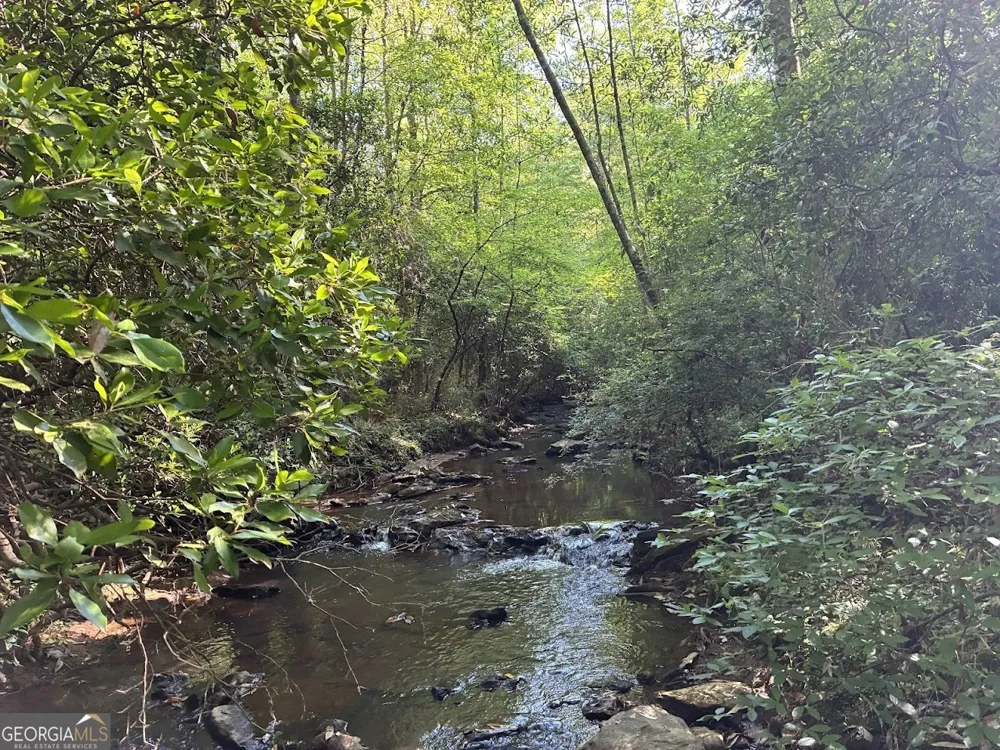 0 Creek RD Ashland, AL 36251