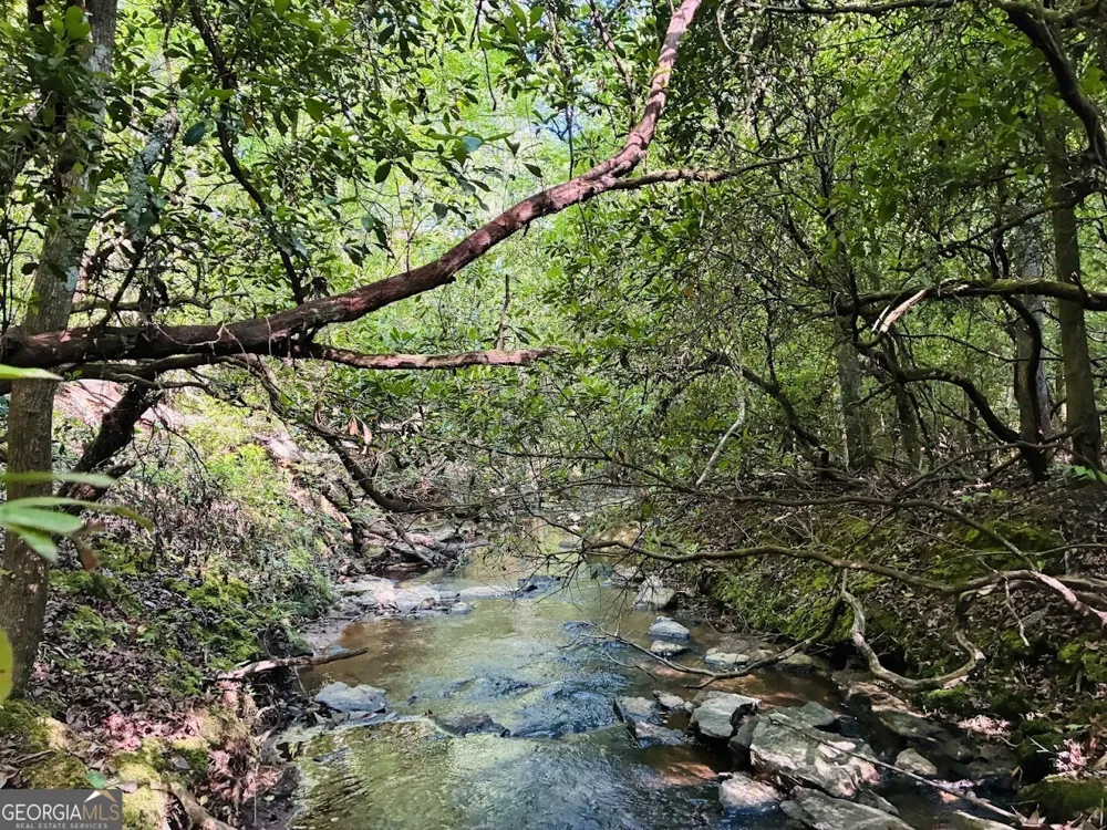 0 Creek RD Ashland, AL 36251