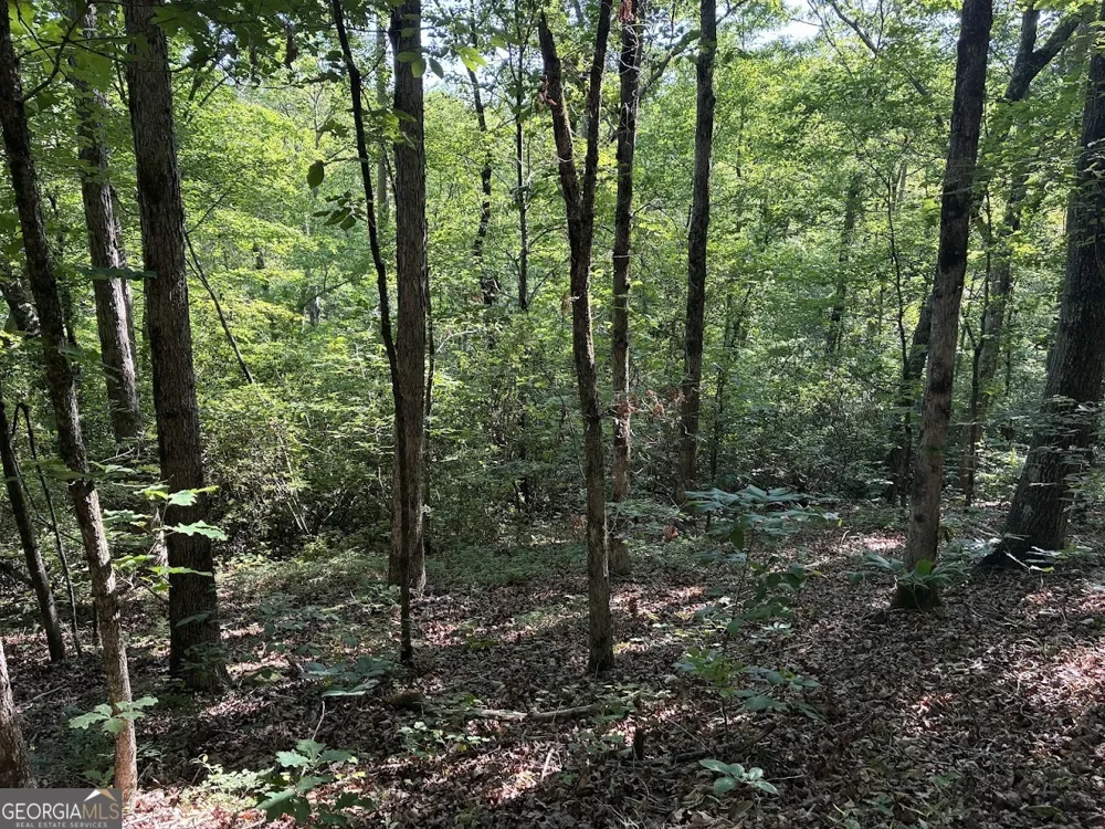 0 Creek RD Ashland, AL 36251