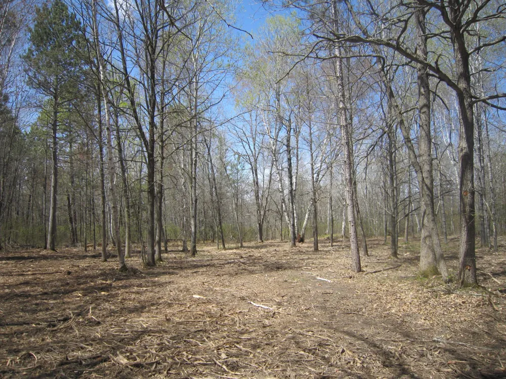 Lot 3 Pike Bay Loop NW Cass Lake, MN 56633