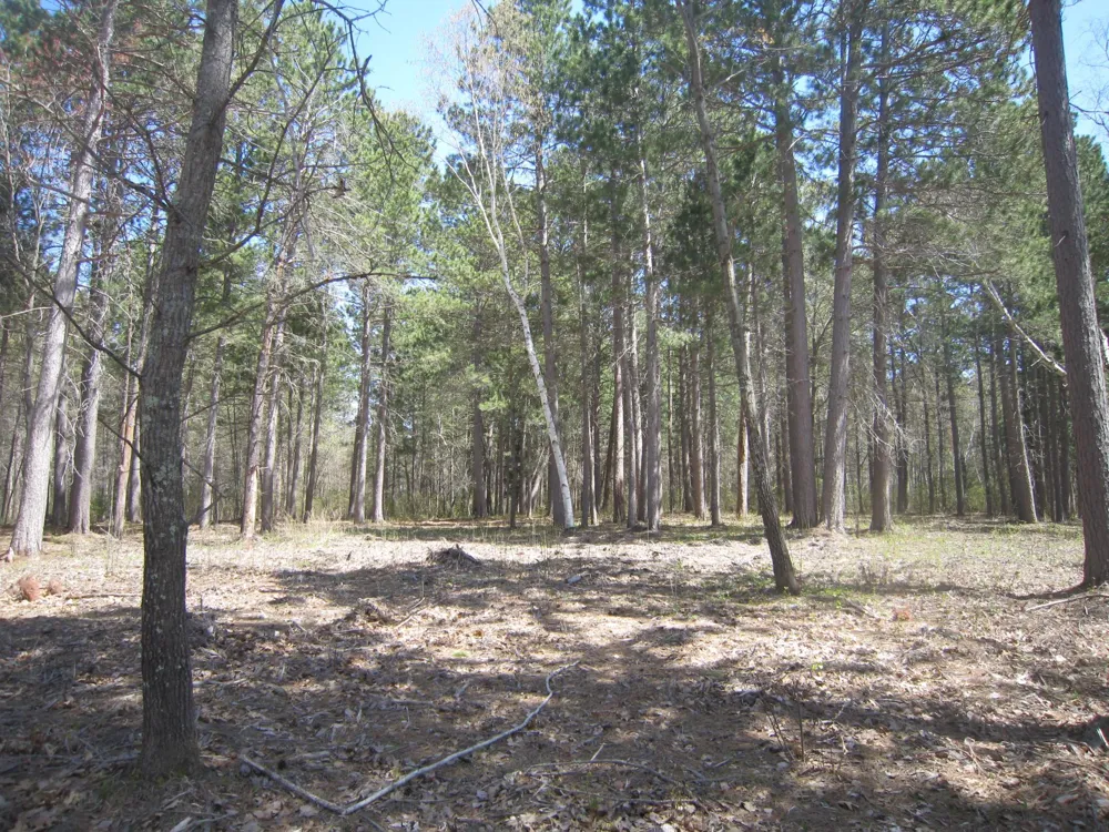 Lot 3 Pike Bay Loop NW Cass Lake, MN 56633
