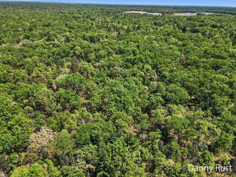 Vacant Land Twin Lake, MI 49457