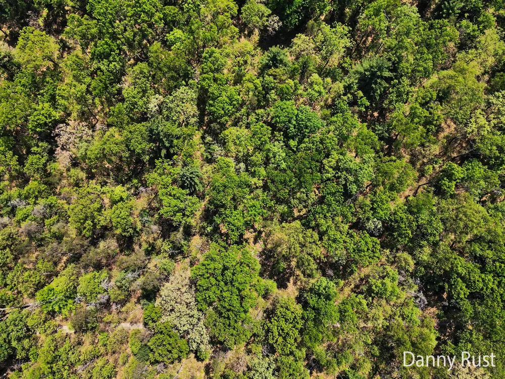Vacant Land Twin Lake, MI 49457