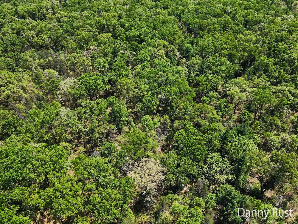 Vacant Land Twin Lake, MI 49457