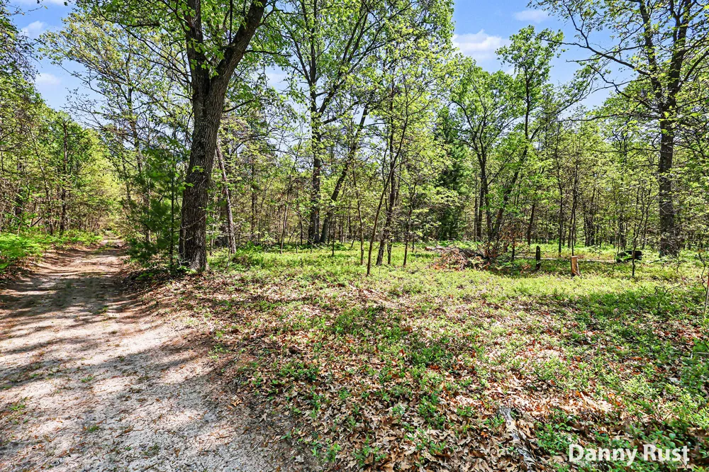 Vacant Land Twin Lake, MI 49457