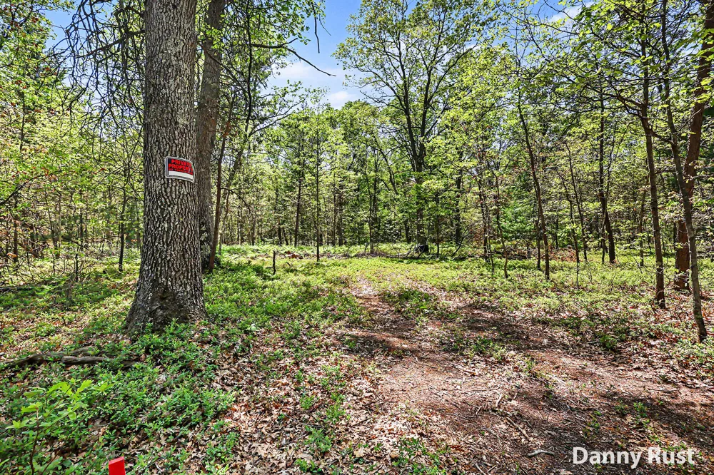 Vacant Land Twin Lake, MI 49457