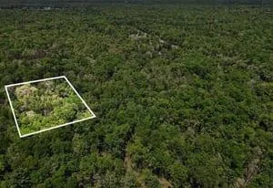 Vacant Land Twin Lake, MI 49457