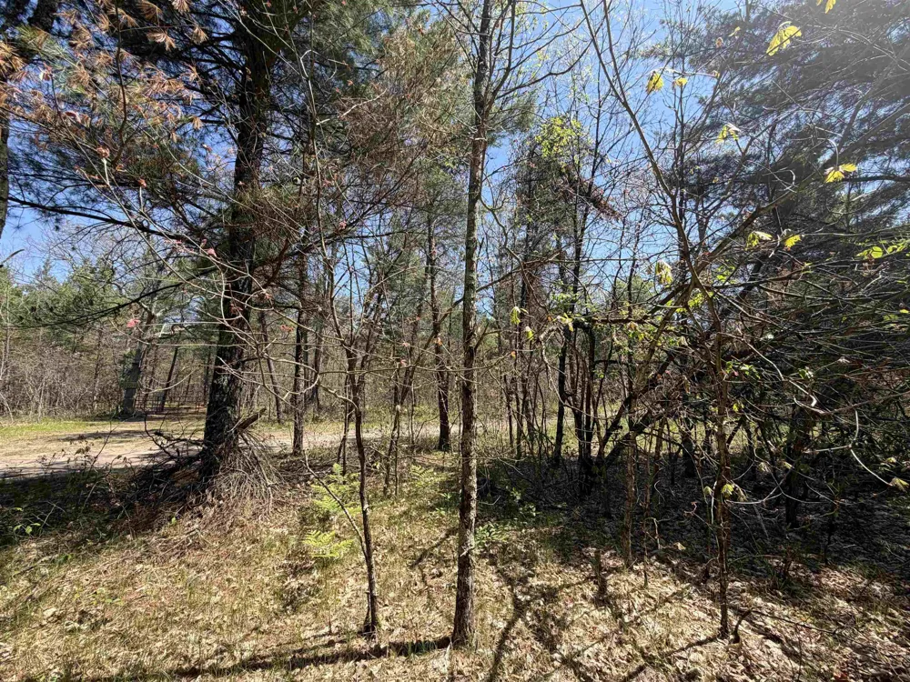 E Gladys Lane Cherry Valley Township, MI 49642