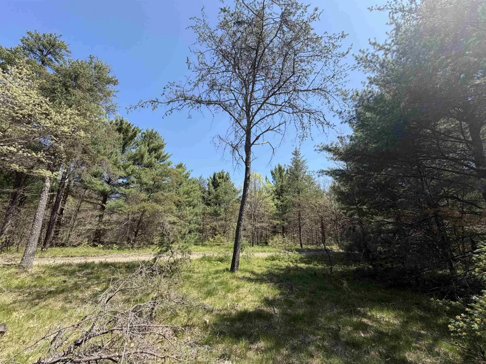 E Gladys Lane Cherry Valley Township, MI 49642