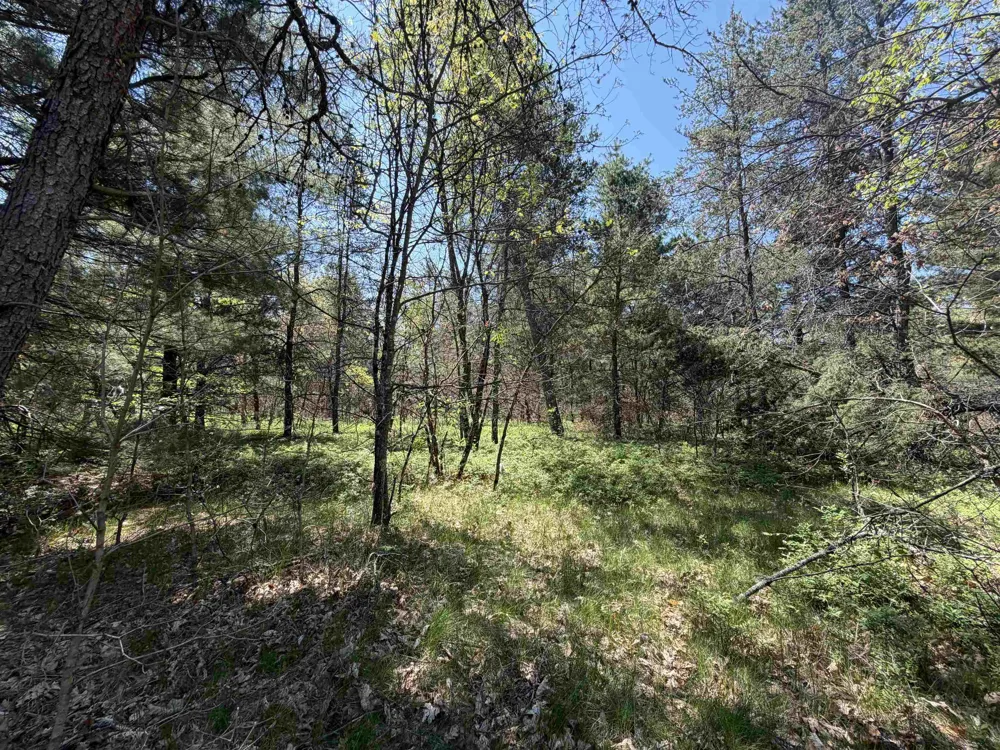 E Gladys Lane Cherry Valley Township, MI 49642