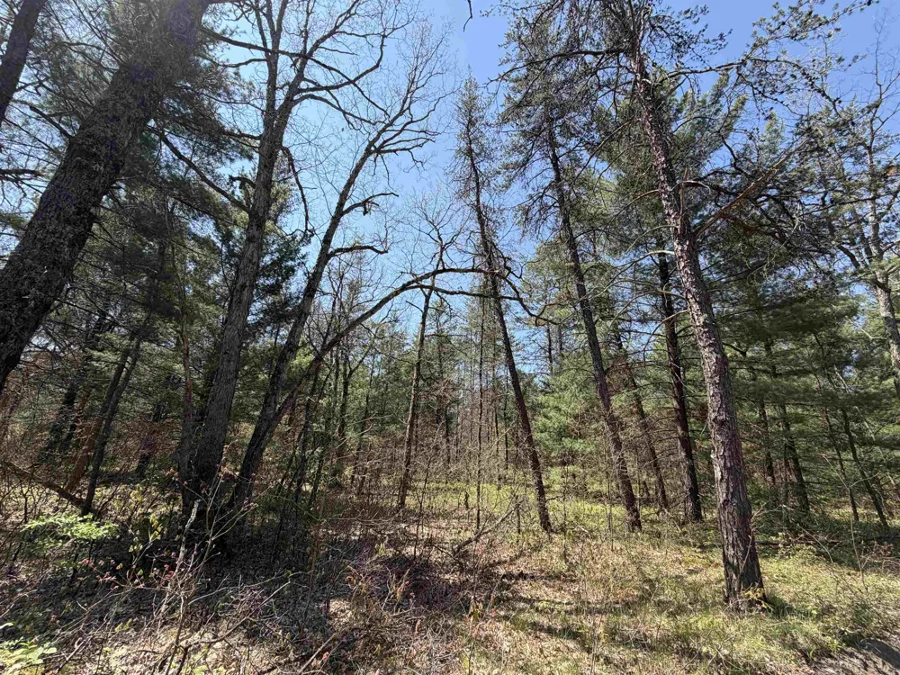 E Gladys Lane Cherry Valley Township, MI 49642