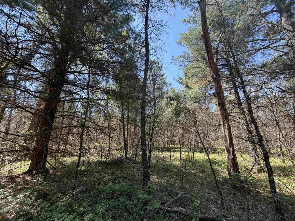 E Gladys Lane Cherry Valley Township, MI 49642