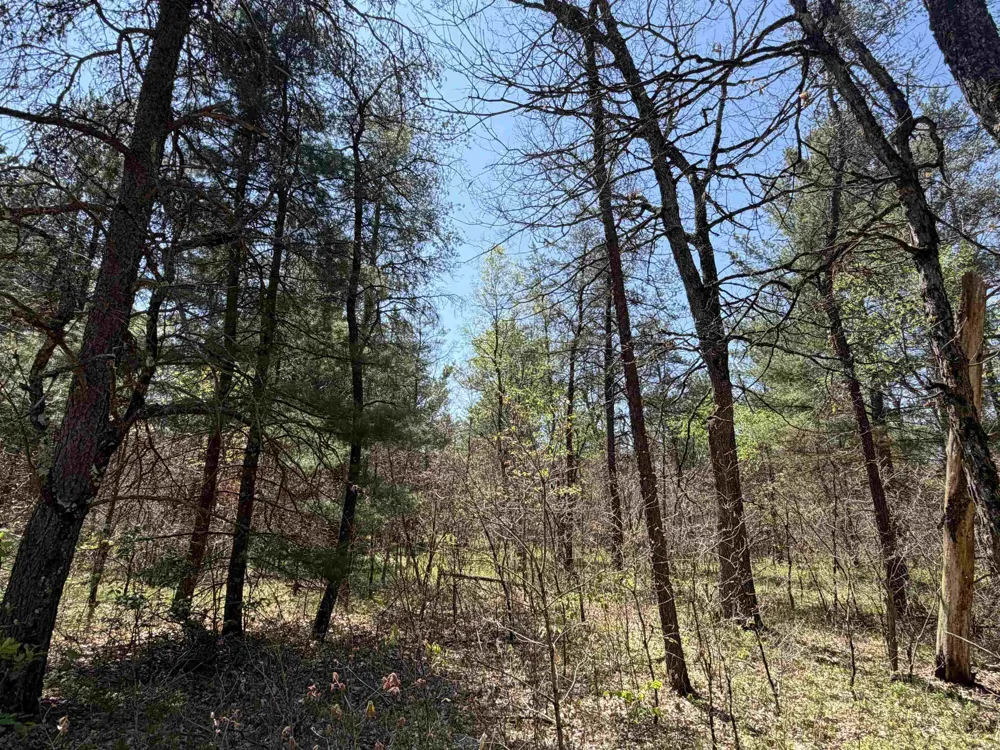 E Gladys Lane Cherry Valley Township, MI 49642