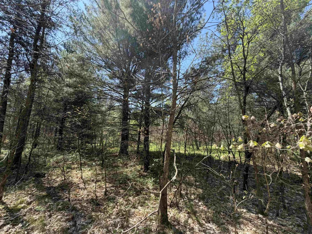 E Gladys Lane Cherry Valley Township, MI 49642