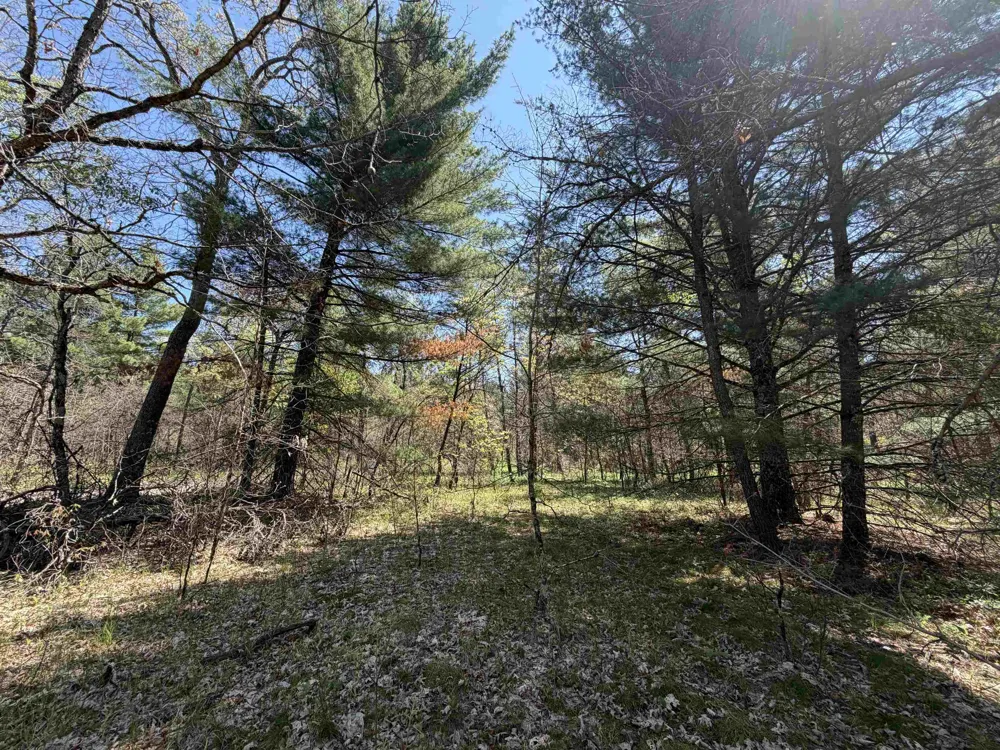 E Gladys Lane Cherry Valley Township, MI 49642