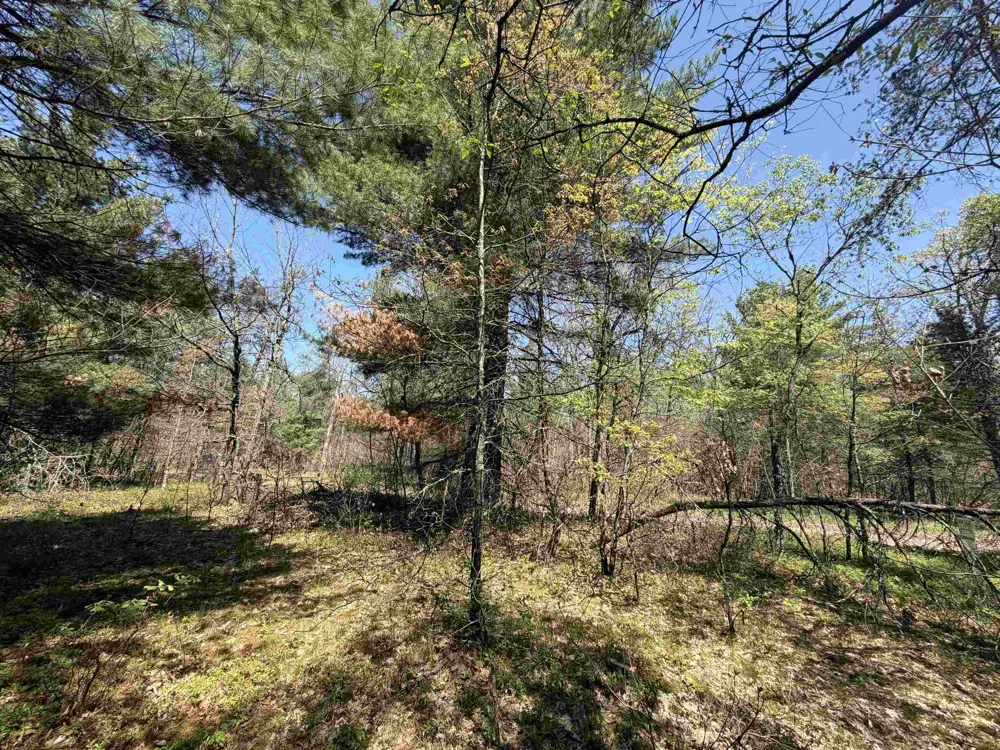 E Gladys Lane Cherry Valley Township, MI 49642