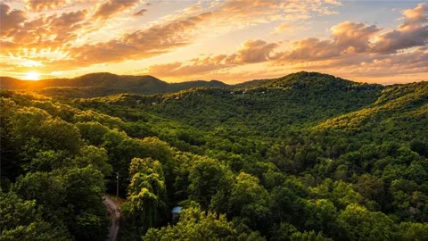 5.58 Gobbler Knob Drive