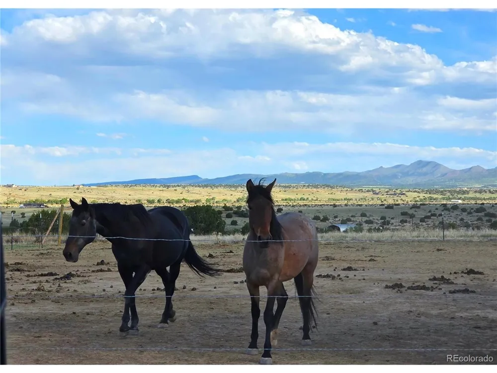 8650 State Highway 67 Florence, CO 81226