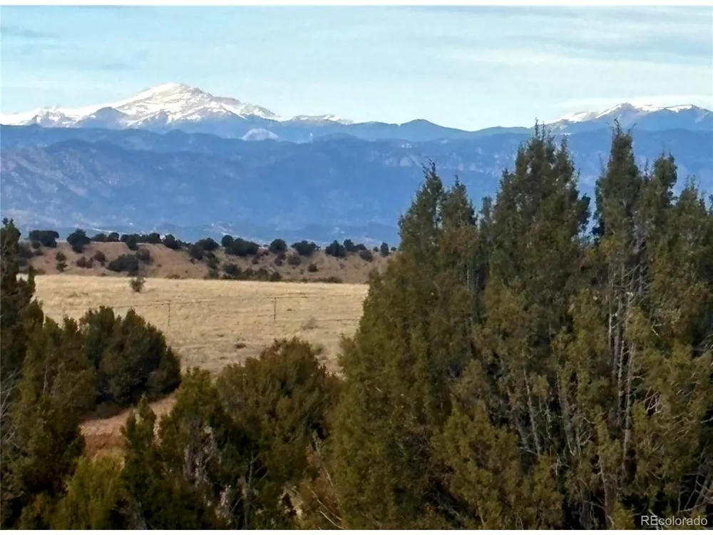 8650 State Highway 67 Florence, CO 81226
