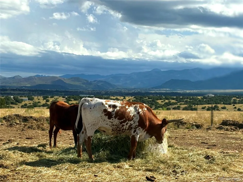 8650 State Highway 67 Florence, CO 81226