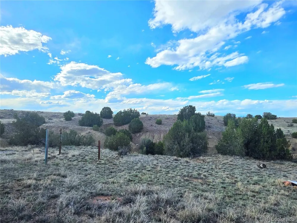 8650 State Highway 67 Florence, CO 81226