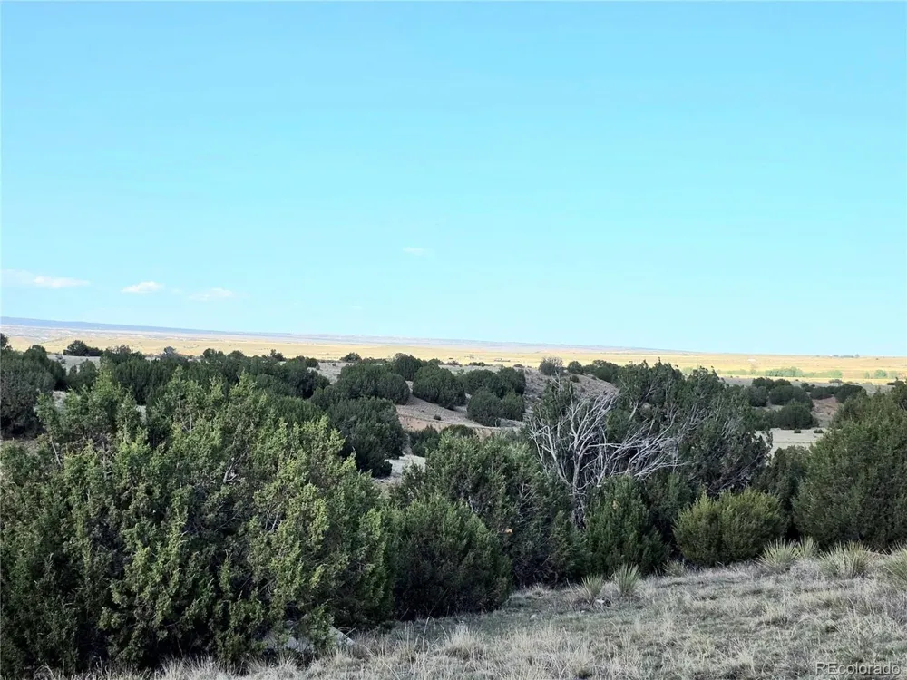 8650 State Highway 67 Florence, CO 81226