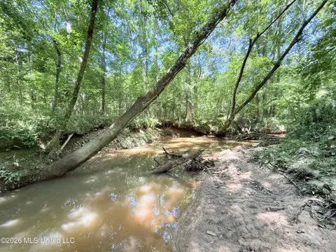 Jackson Liberty Drive