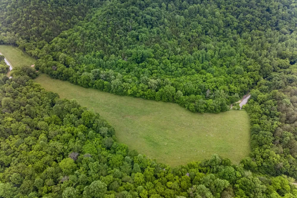 8029 Brimstone Creek Rd Whitleyville, TN 38588
