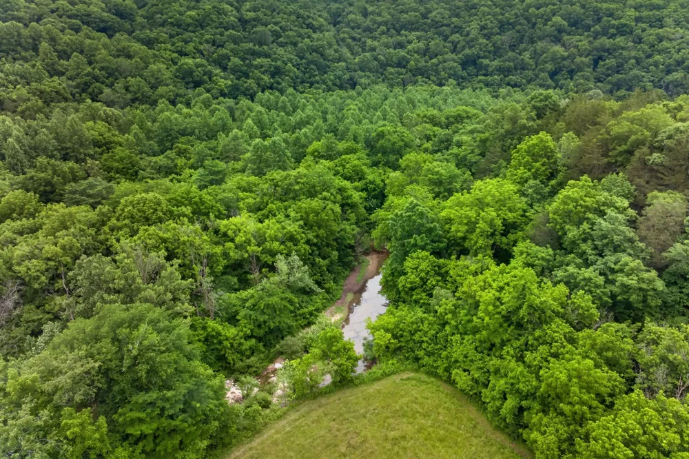 8029 Brimstone Creek Rd Whitleyville, TN 38588