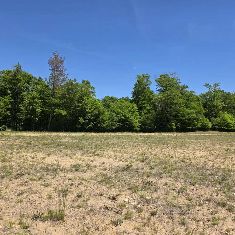 W Weaver Road #Parcel B per Survey Shelby, MI 49455