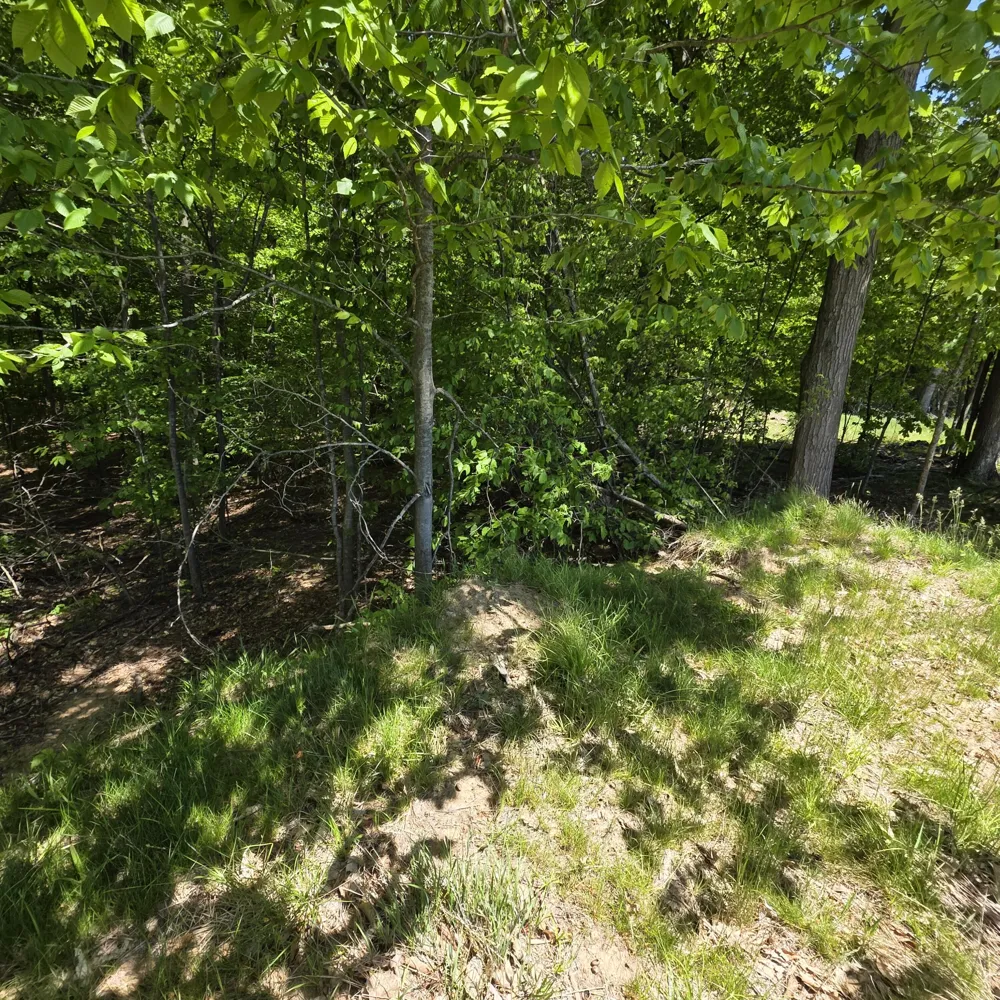 W Weaver Road #Parcel B per Survey Shelby, MI 49455
