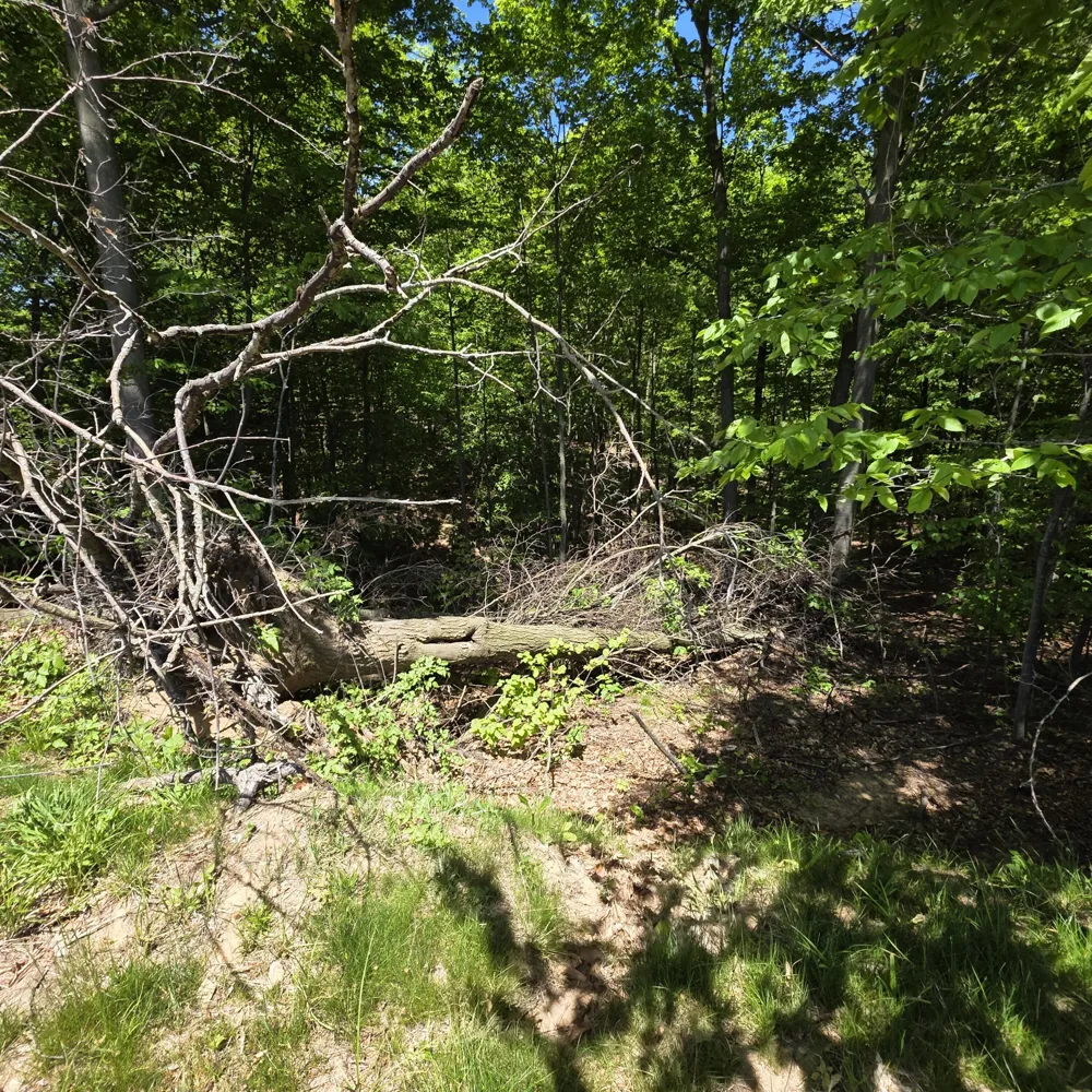 W Weaver Road #Parcel B per Survey Shelby, MI 49455