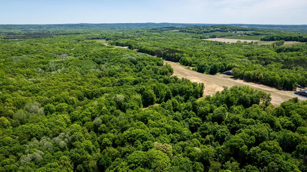 W Weaver Road #Parcel B per Survey Shelby, MI 49455