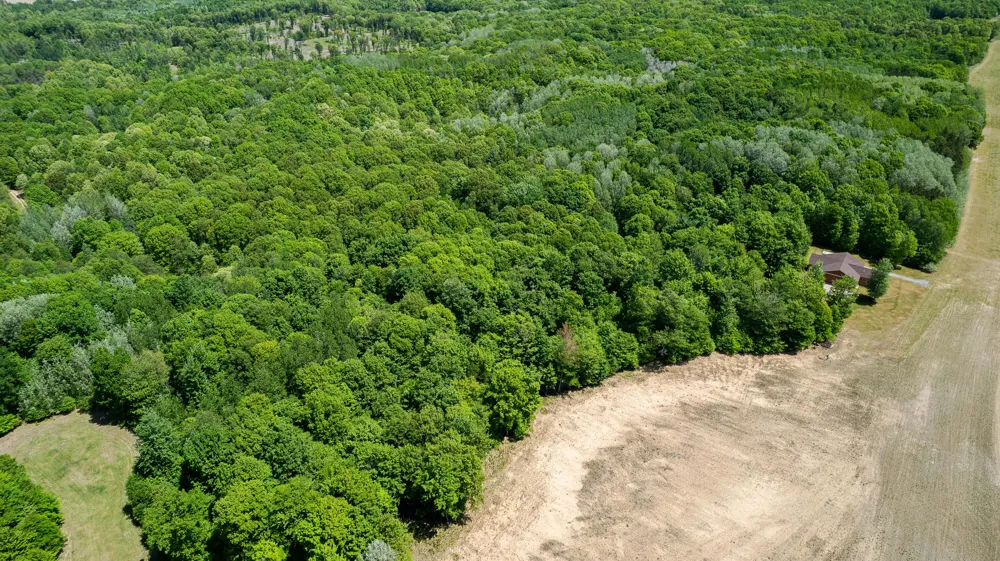W Weaver Road #Parcel B per Survey Shelby, MI 49455