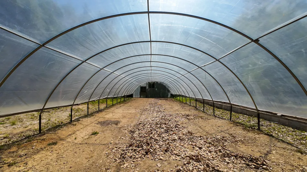 4196 W 4 Mile Road Lincoln Township, MI 49349