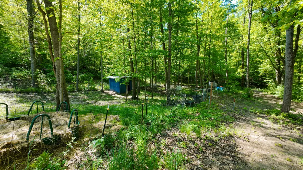 4196 W 4 Mile Road Lincoln Township, MI 49349