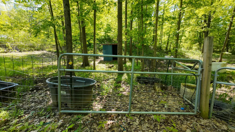 4196 W 4 Mile Road Lincoln Township, MI 49349