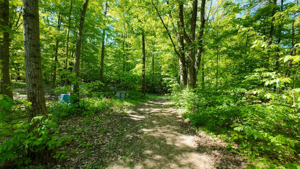 4196 W 4 Mile Road Lincoln Township, MI 49349