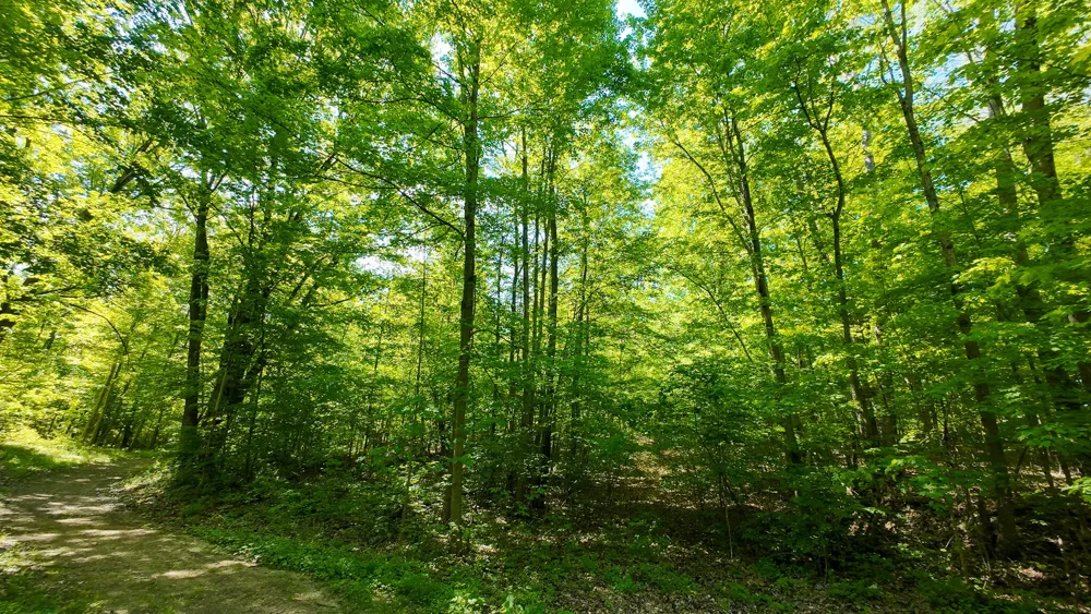 4196 W 4 Mile Road Lincoln Township, MI 49349