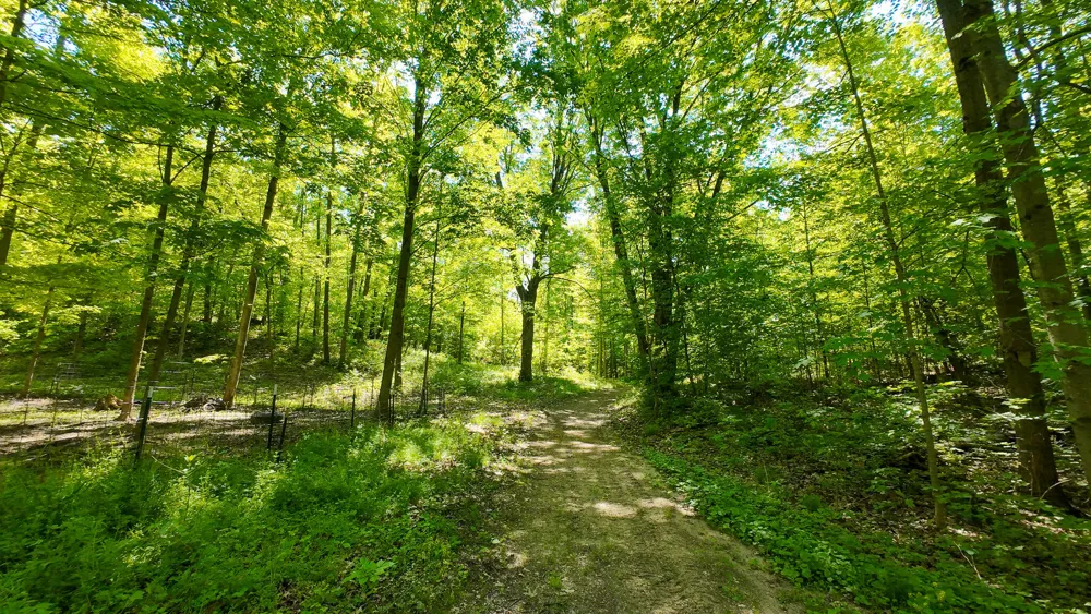 4196 W 4 Mile Road Lincoln Township, MI 49349