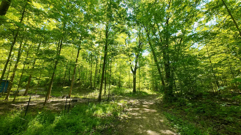 4196 W 4 Mile Road Lincoln Township, MI 49349