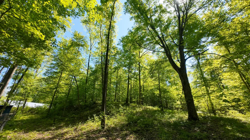 4196 W 4 Mile Road Lincoln Township, MI 49349