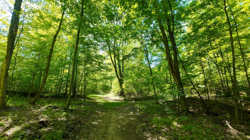 4196 W 4 Mile Road Lincoln Township, MI 49349