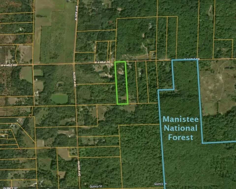 4196 W 4 Mile Road Lincoln Township, MI 49349