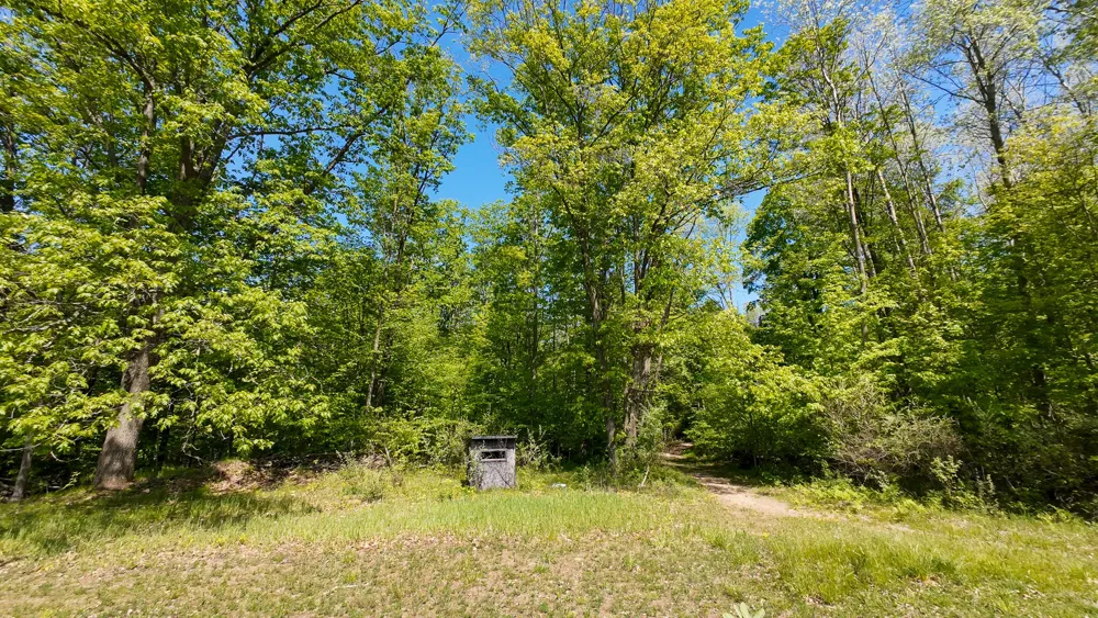 4196 W 4 Mile Road Lincoln Township, MI 49349