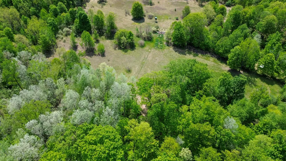 4196 W 4 Mile Road Lincoln Township, MI 49349