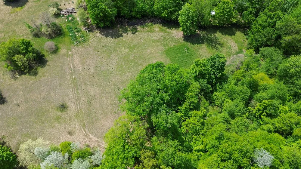 4196 W 4 Mile Road Lincoln Township, MI 49349