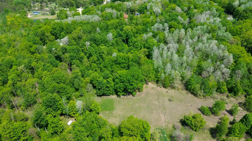4196 W 4 Mile Road Lincoln Township, MI 49349