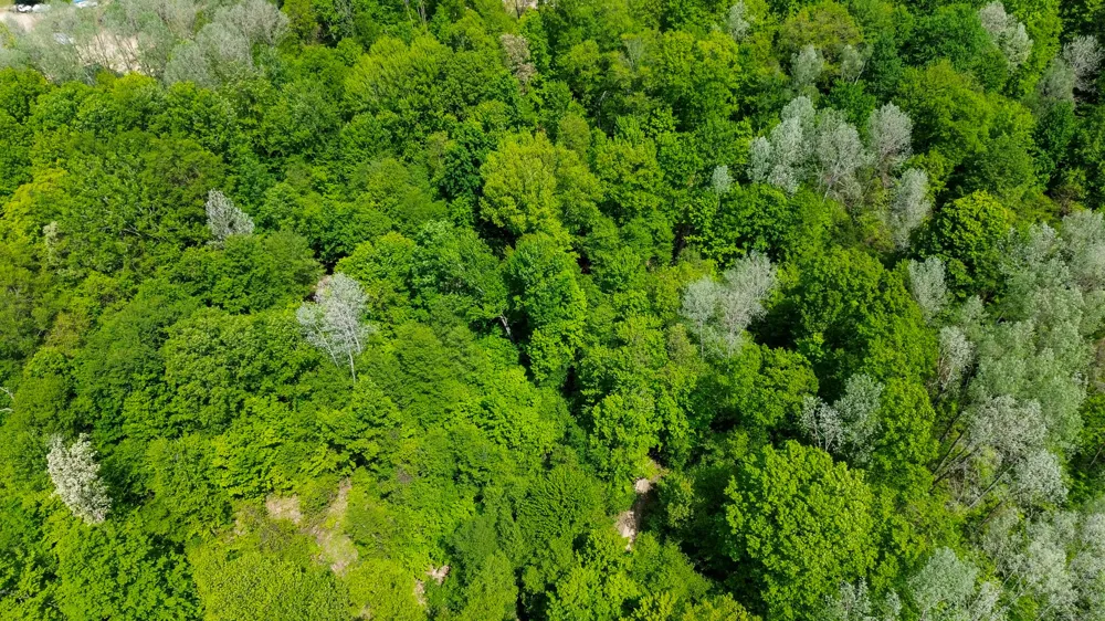 4196 W 4 Mile Road Lincoln Township, MI 49349